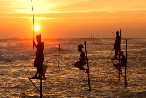 Stilt  Fishing
