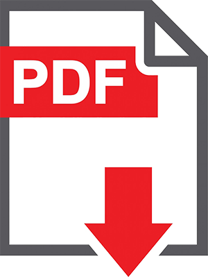 pdf icon