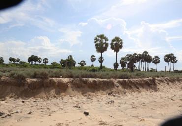 e0b4a9b0-c27c-48b8-8604-c3932c156336