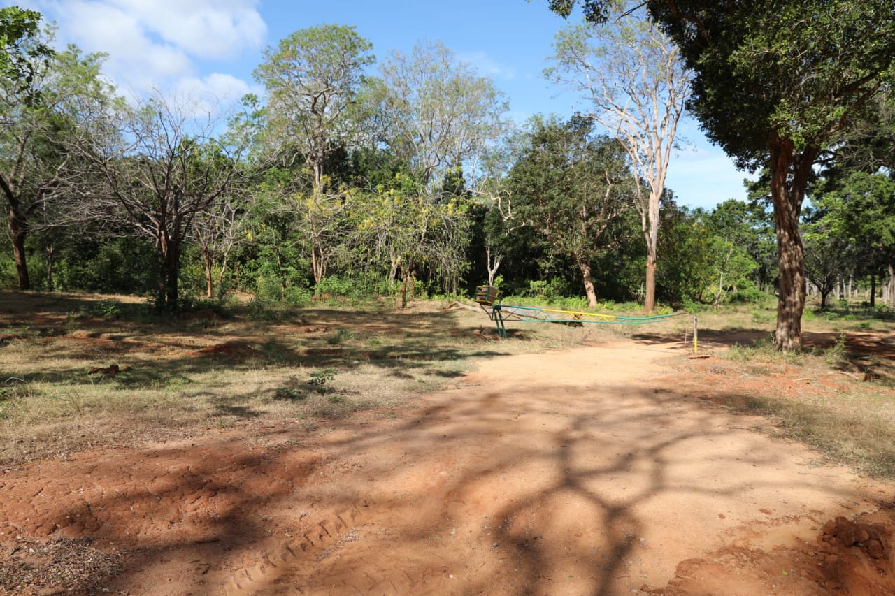 c5f747d6-098b-4f74-a4f7-32360ade42d9