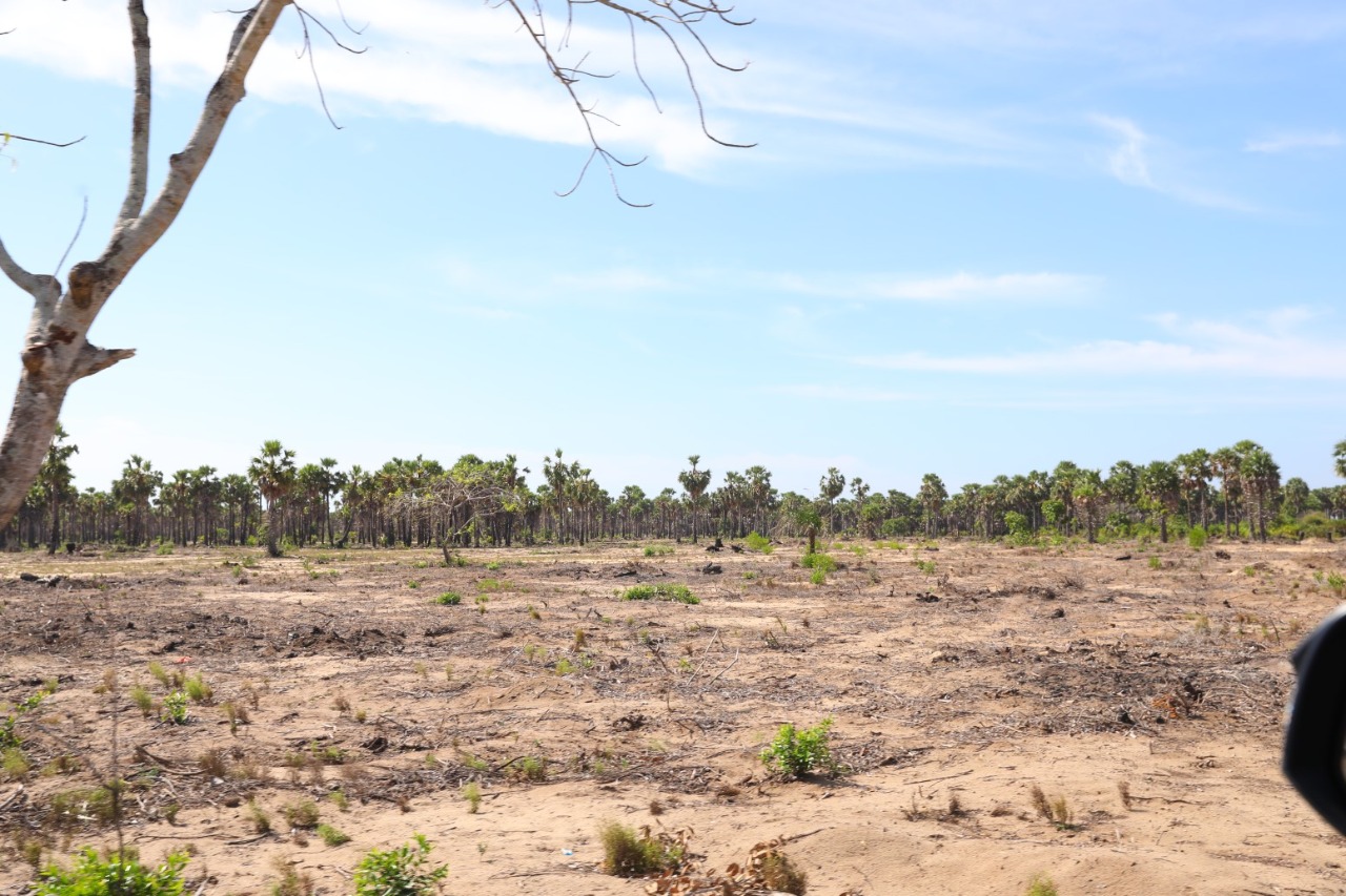 b94f12ed-82f7-4893-889d-ee0ed6c58d20