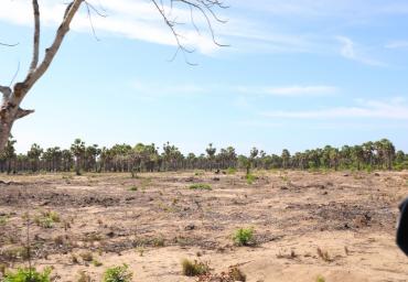 b94f12ed-82f7-4893-889d-ee0ed6c58d20